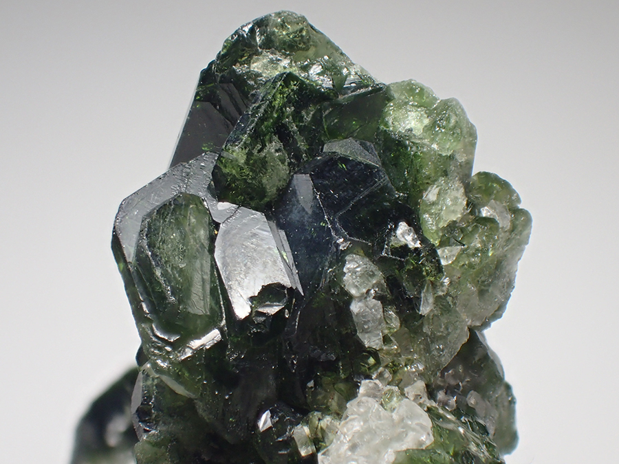 Uvite