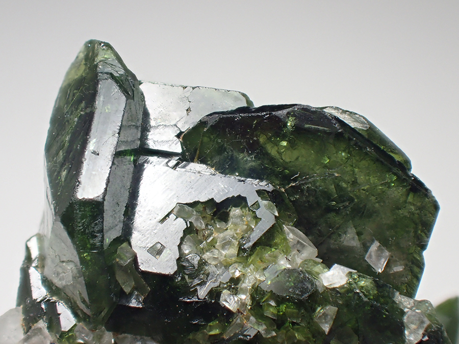 Uvite