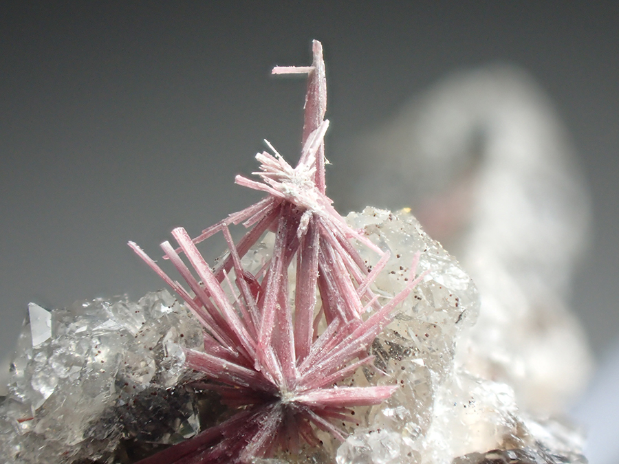 Erythrite