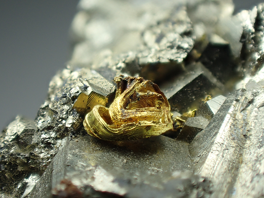 Gold & Pyrite