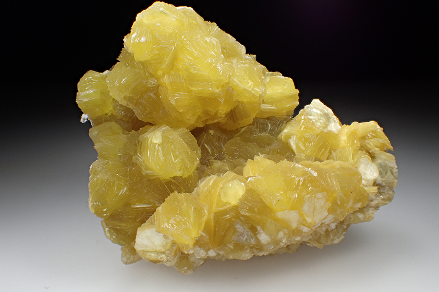 Muscovite