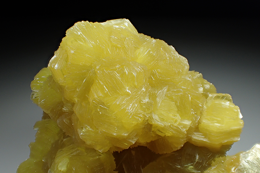 Muscovite