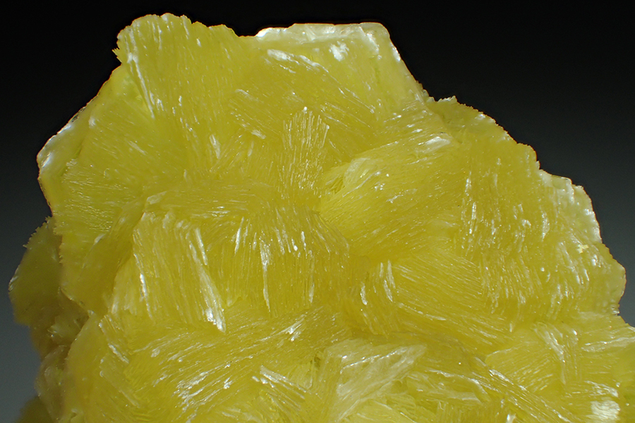 Muscovite