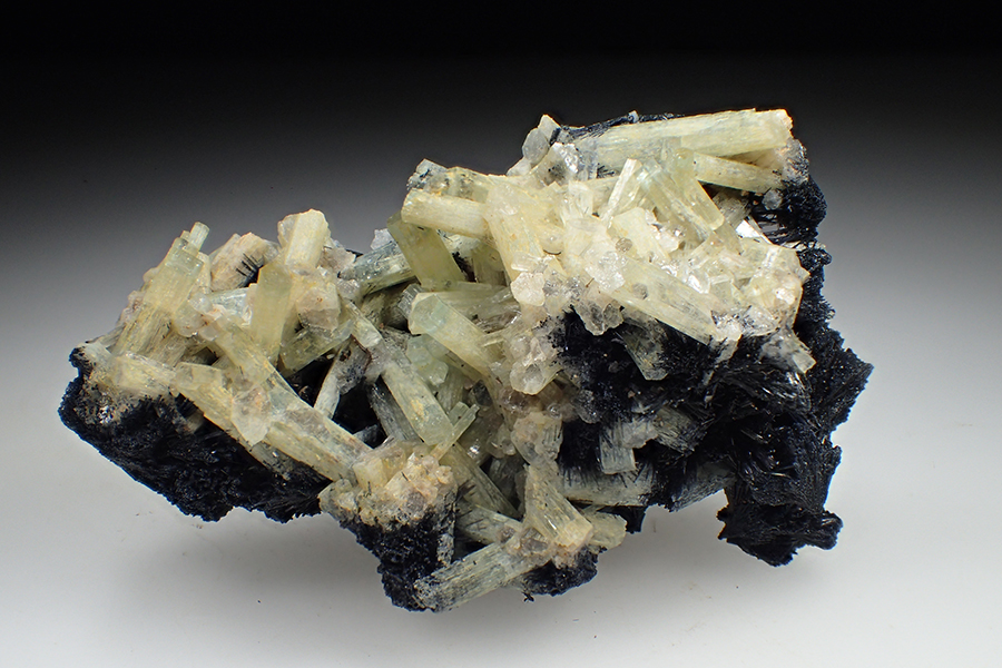 Aquamarine & Schorl