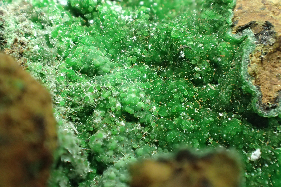 Arsenocrandallite Conichalcite & Olivenite