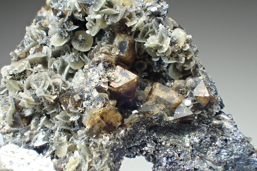 Scheelite & Siderite