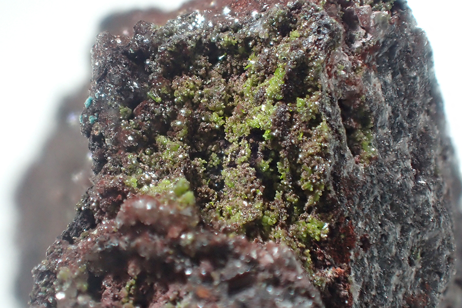 Molybdofornacite