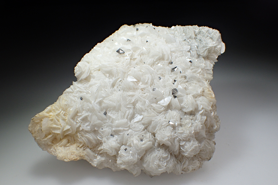 Scheelite & Dolomite