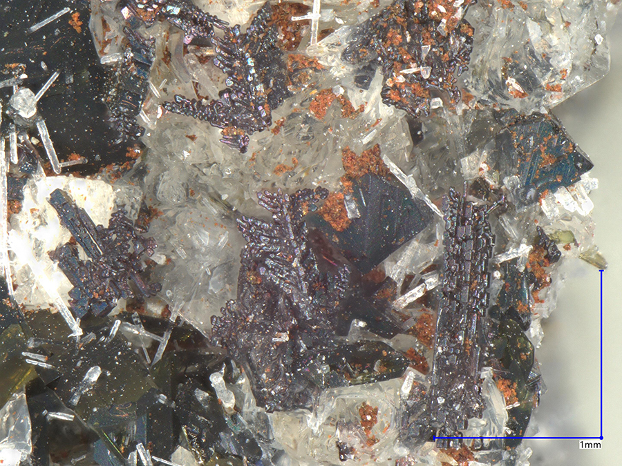 Perovskite & Clinopyroxene Subgroup