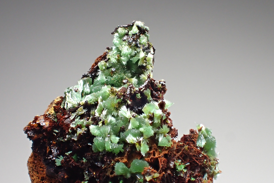 Olivenite