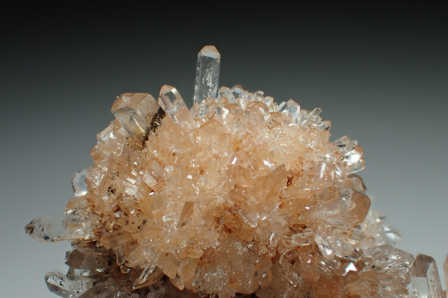 Creedite