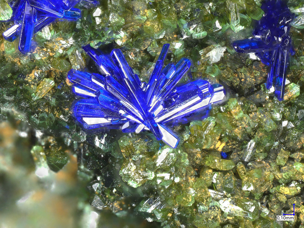 Olivenite & Azurite