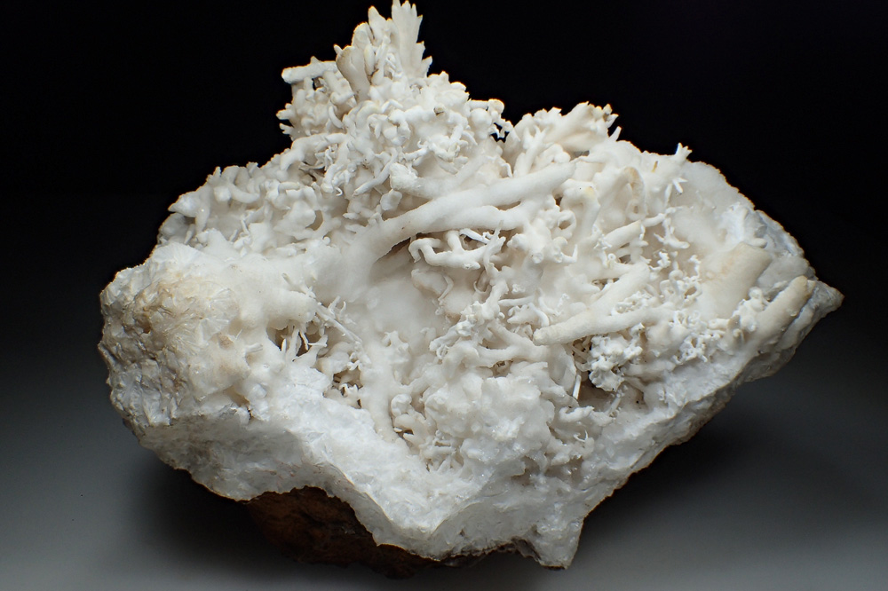 Aragonite Var Flos Ferri