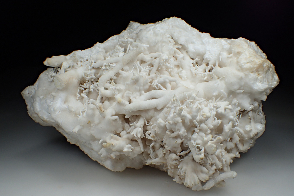 Aragonite Var Flos Ferri