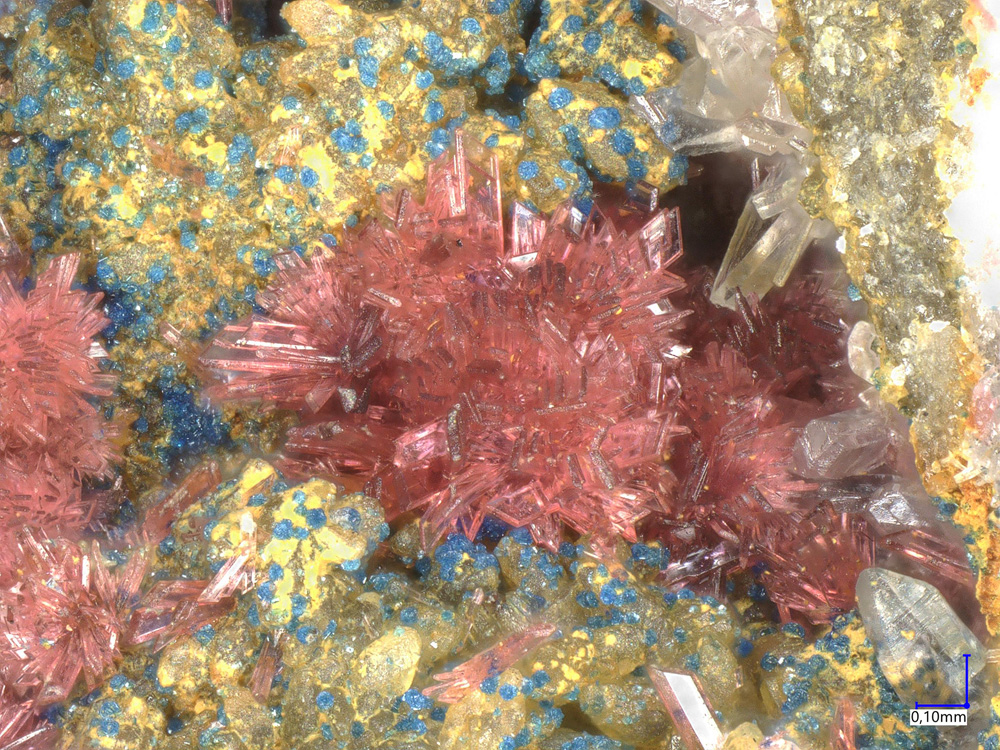 Erythrite & Aragonite