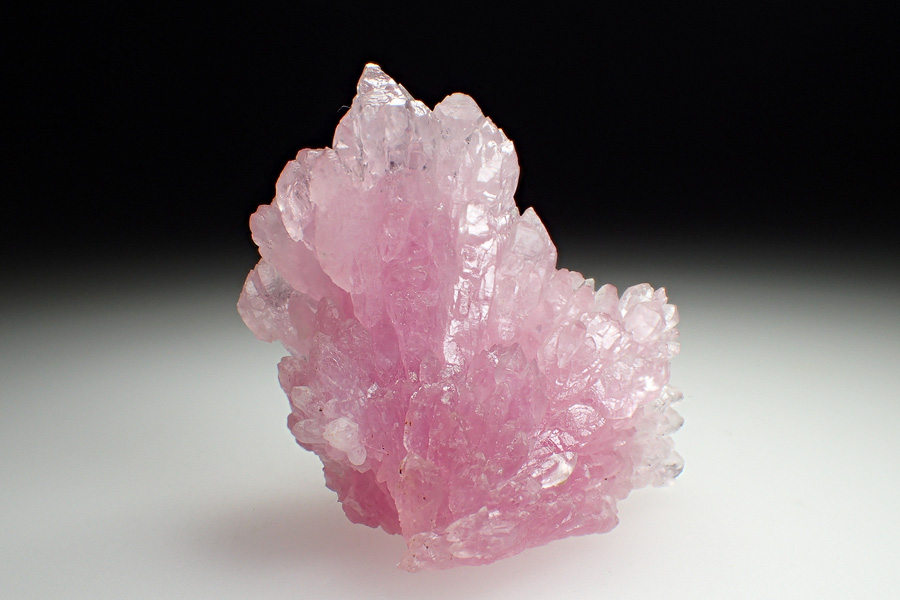 Rose Quartz