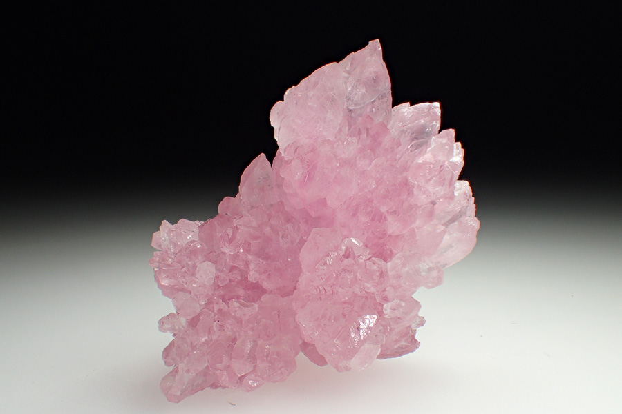 Rose Quartz