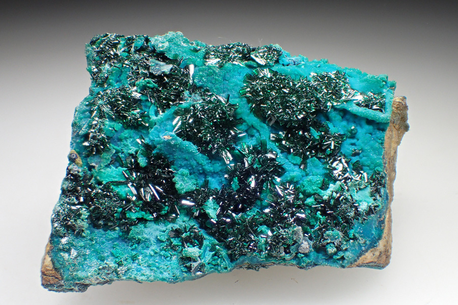 Atacamite & Chrysocolla