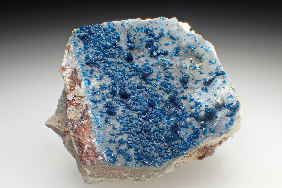 Veszelyite & Cuprodongchuanite