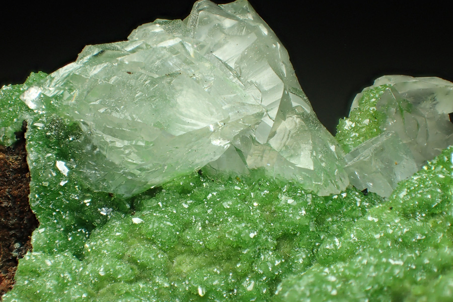 Conichalcite & Calcite