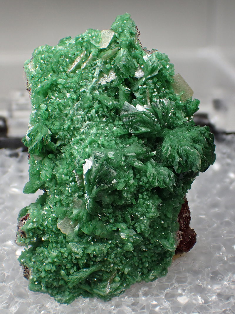 Cuprian Adamite & Wulfenite