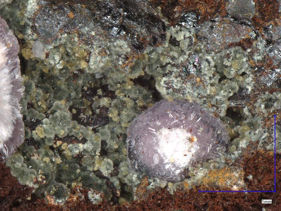 Tinticite & Strengite