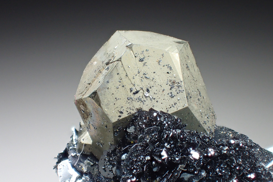 Pyrite & Hematite