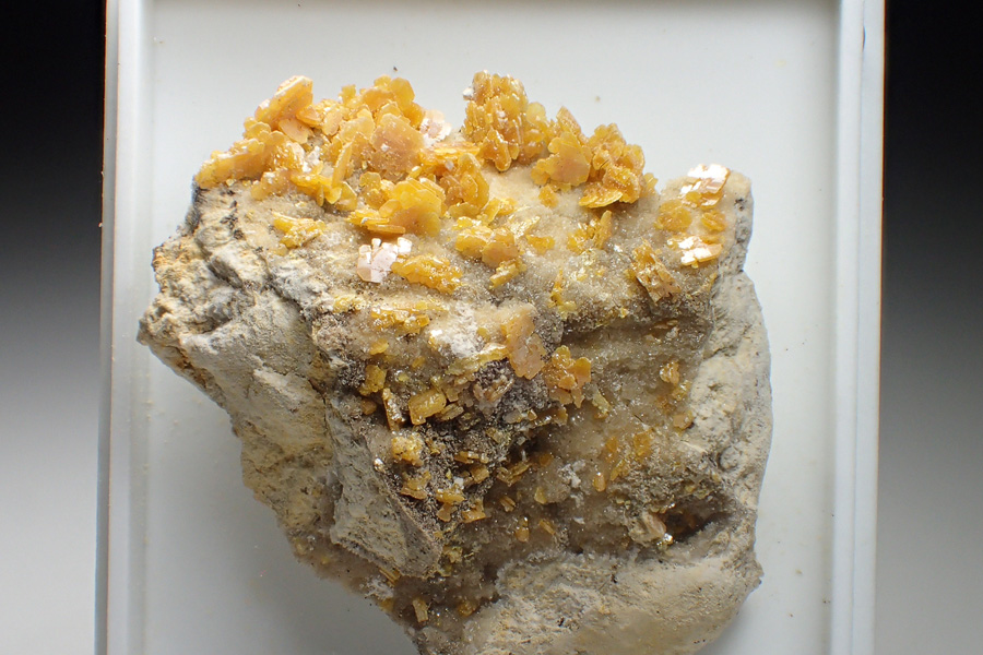 Wulfenite