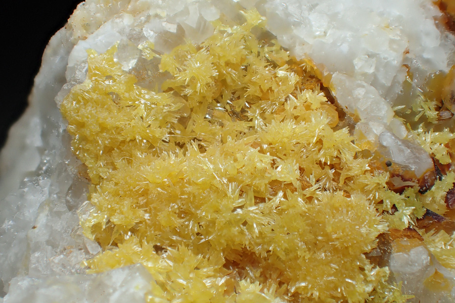 Mimetite