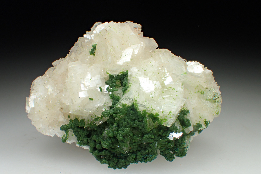 Calcite & Conichalcite