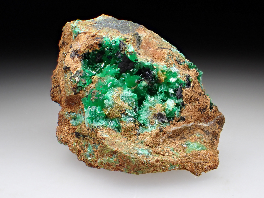 Annabergite