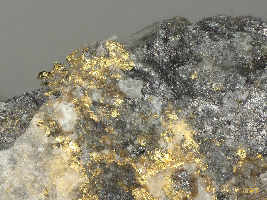 Gold & Altaite