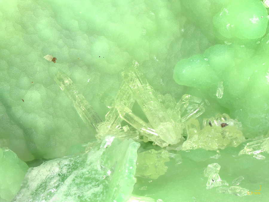 Variscite & Wavellite