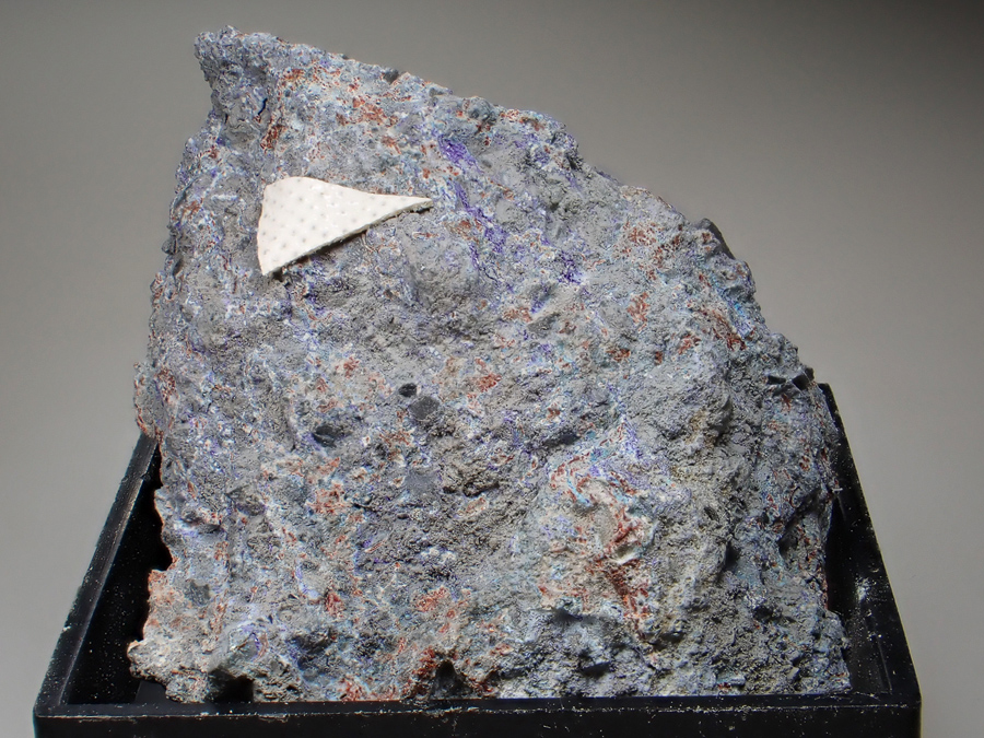 Elyite