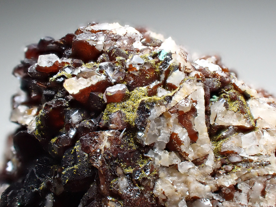 Beaverite