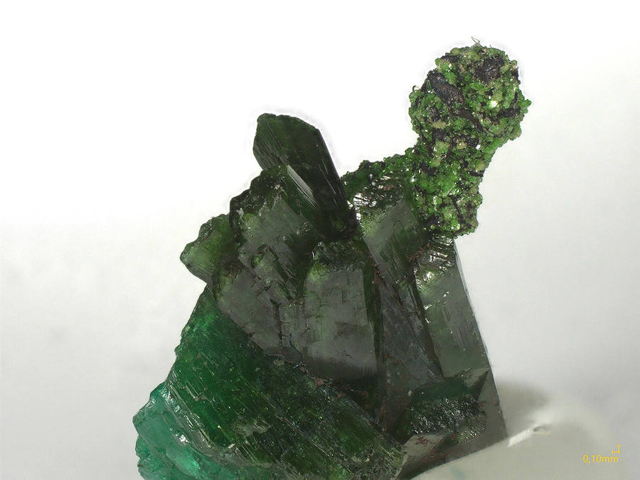 Zincolivenite