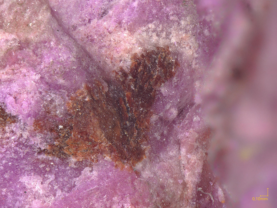 Hennomartinite & Sugilite