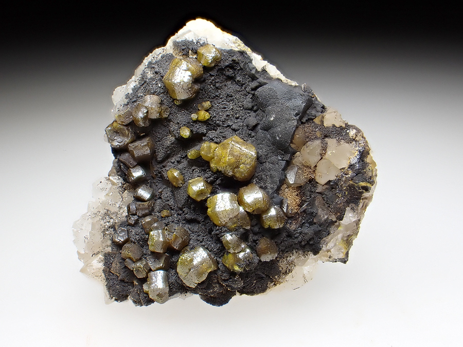 Campylite
