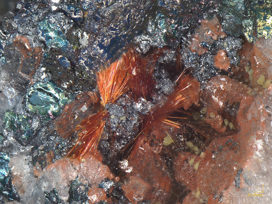 Ludlockite & Stolzite & Leiteite