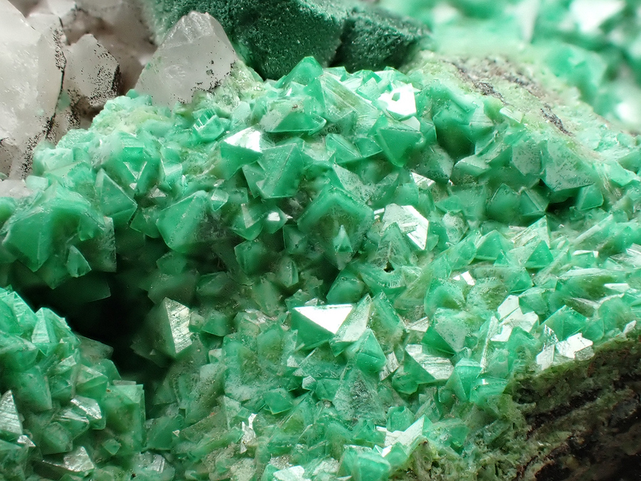 Zincolivenite