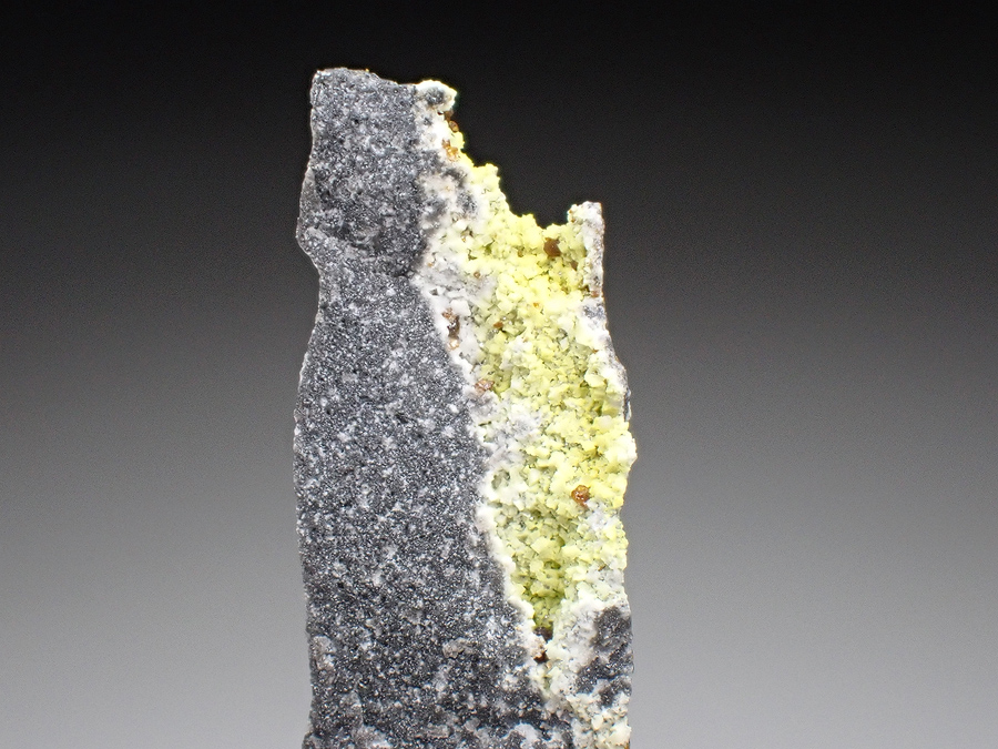 Greenockite & Sphalerite