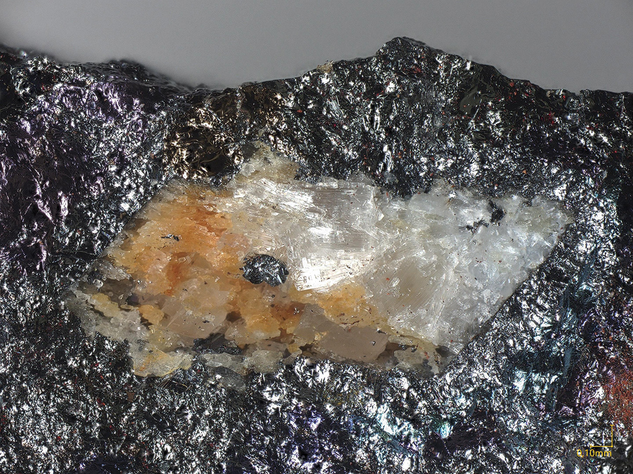 Schaurteite