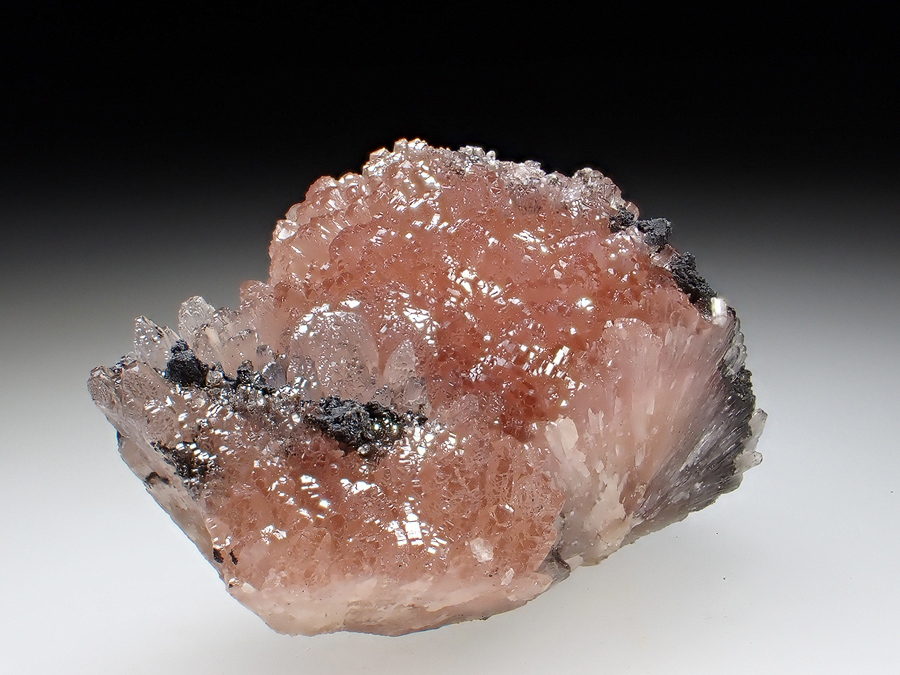 Poldervaartite