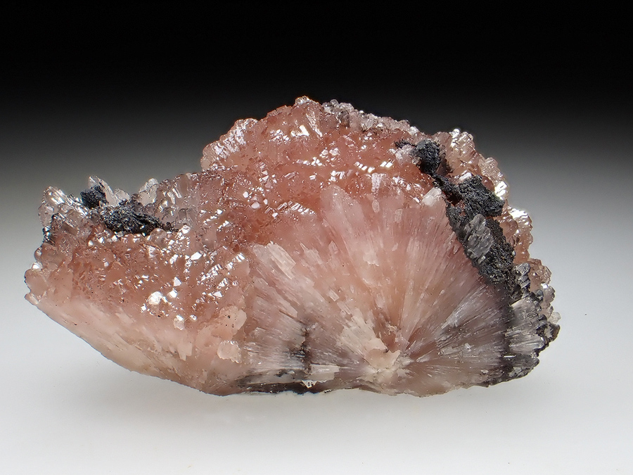 Poldervaartite