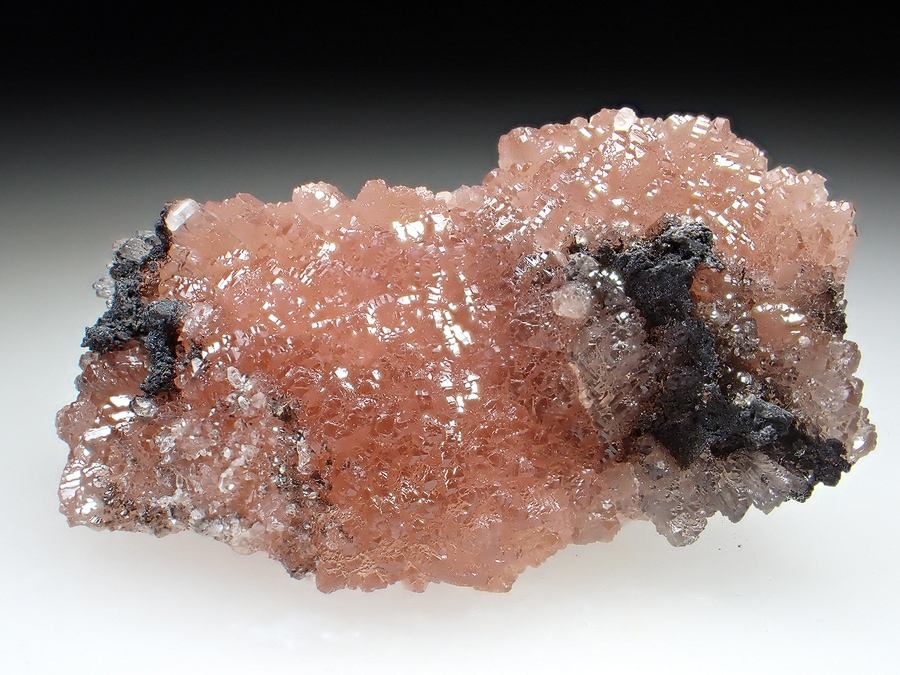 Poldervaartite