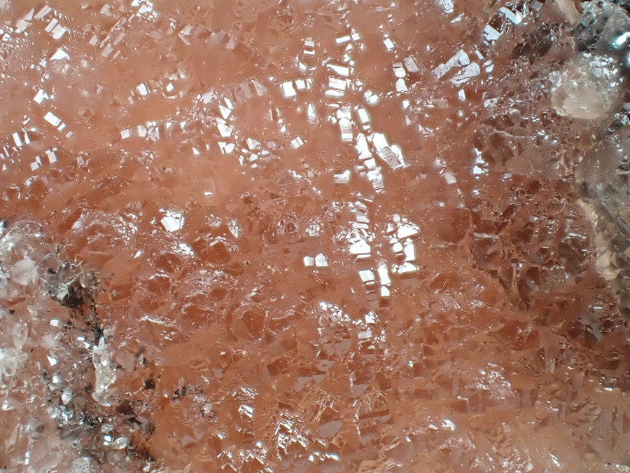 Poldervaartite