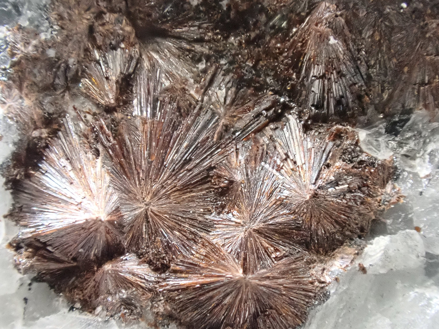 Macfallite