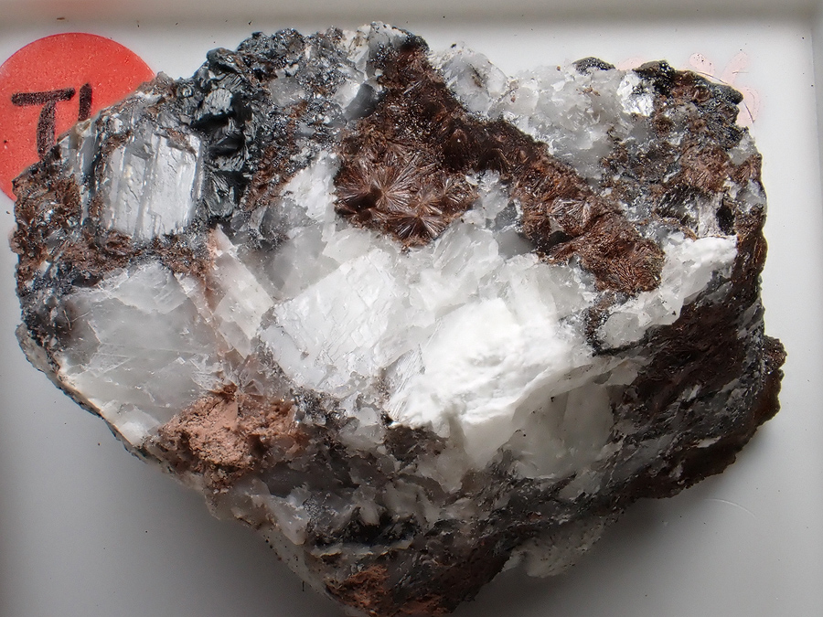 Macfallite