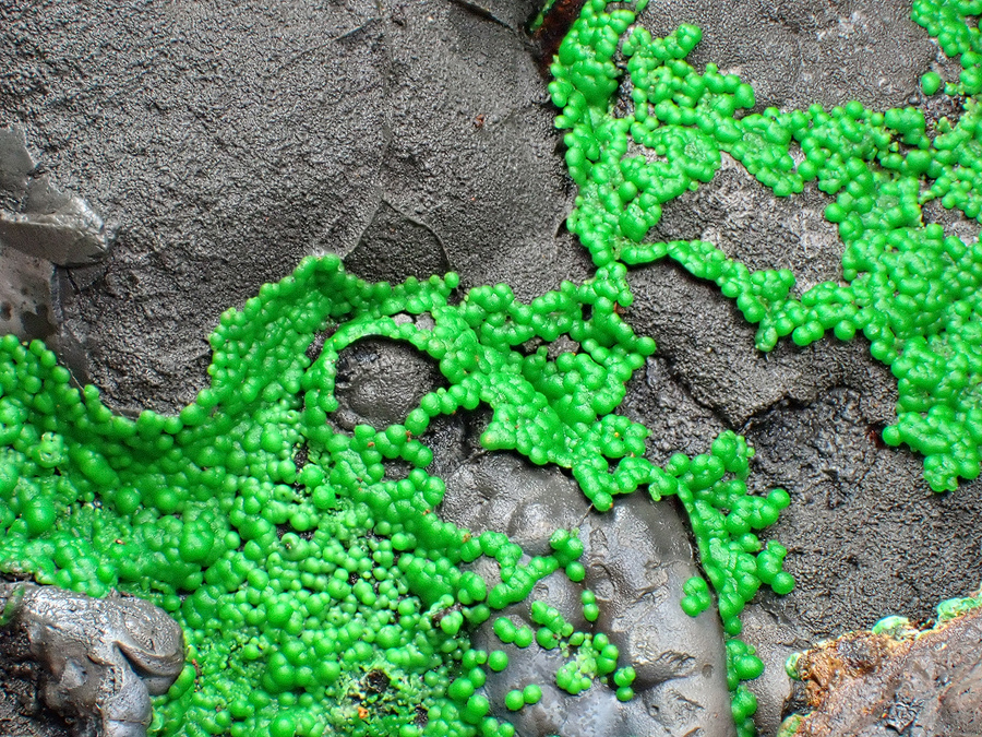 Conichalcite