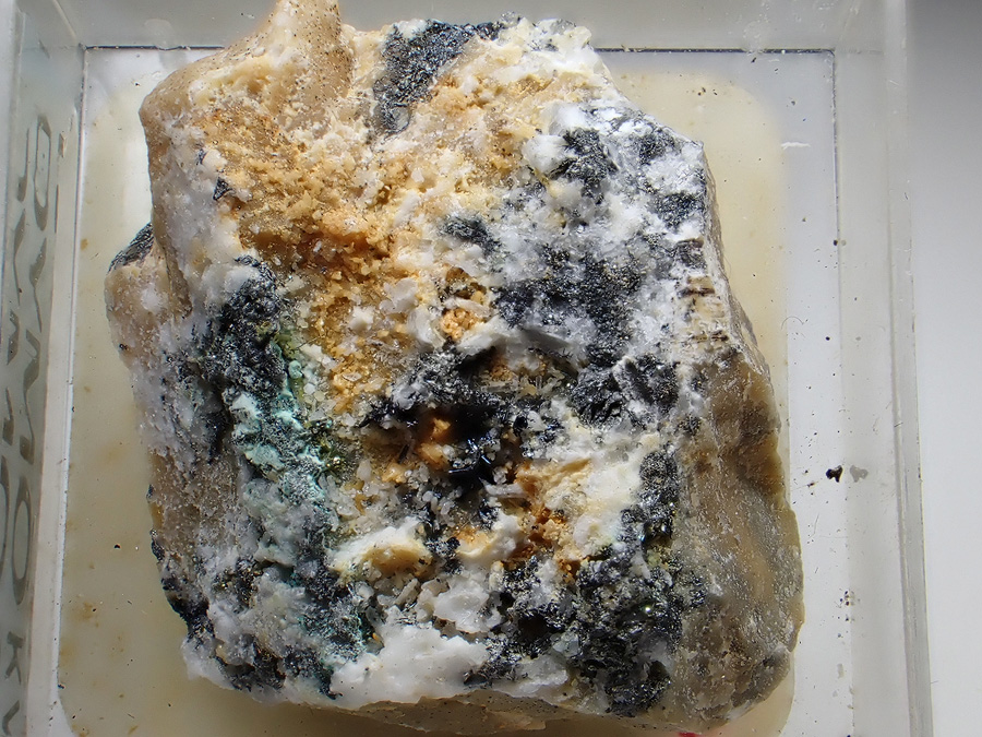 Scainiite